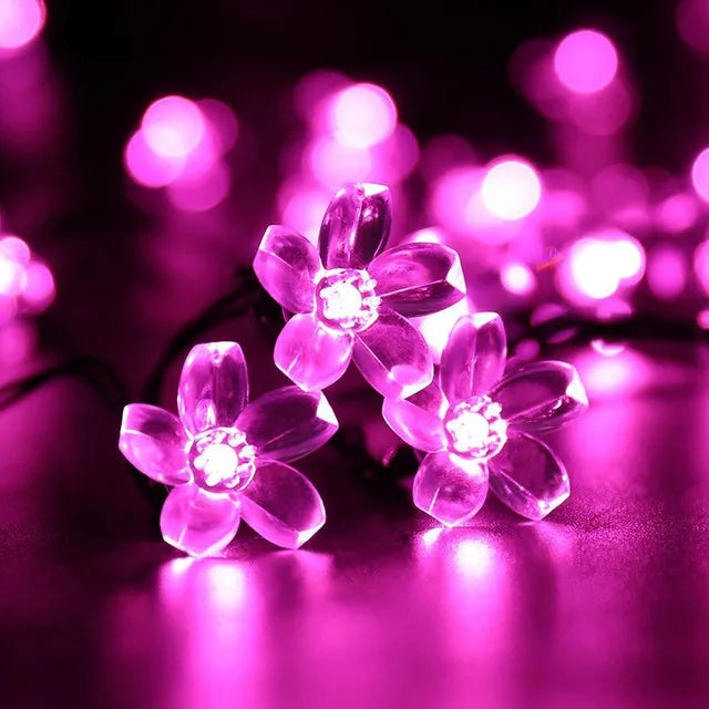 LumiSola Guirlande lumineuse solaire | 20–100 LEDs | Blanc chaud, Blanc ou RGB | 8 modes | Pour jardin & balcon | 5–12m