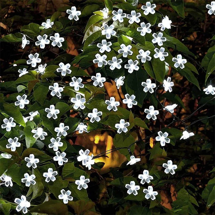 LumiSola Guirlande lumineuse solaire | 20–100 LEDs | Blanc chaud, Blanc ou RGB | 8 modes | Pour jardin & balcon | 5–12m