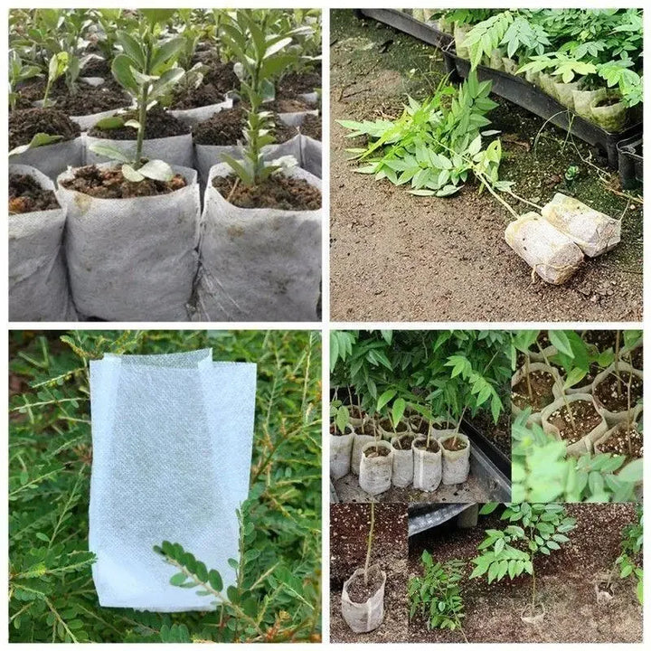 Sacs de plantation BioGrow | Biodégradable | Respirant & Amical pour les racines | Set de 25 à 100