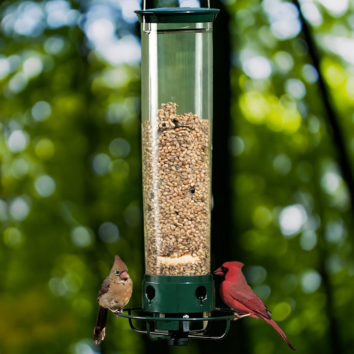 Distributeur de nourriture pour oiseaux Aviron avec protection anti-écureuils | Mécanisme à rotation | 4 ouvertures pour nourriture | Capacité de 2,27 kg