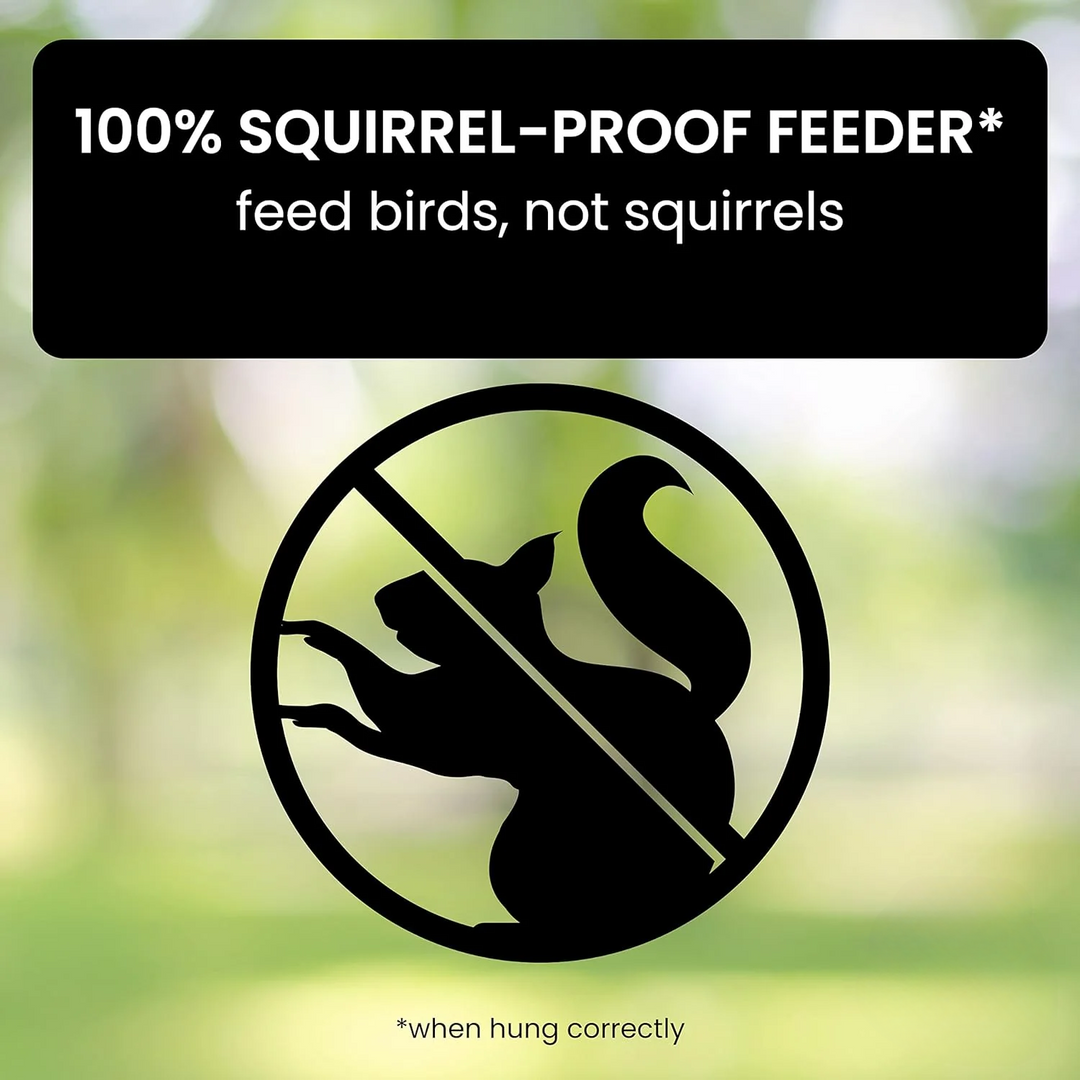 Distributeur de nourriture pour oiseaux Aviron avec protection anti-écureuils | Mécanisme à rotation | 4 ouvertures pour nourriture | Capacité de 2,27 kg