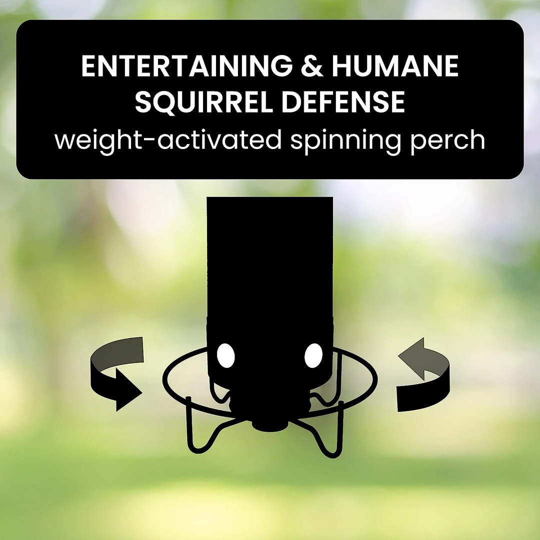 Distributeur de nourriture pour oiseaux Aviron avec protection anti-écureuils | Mécanisme à rotation | 4 ouvertures pour nourriture | Capacité de 2,27 kg