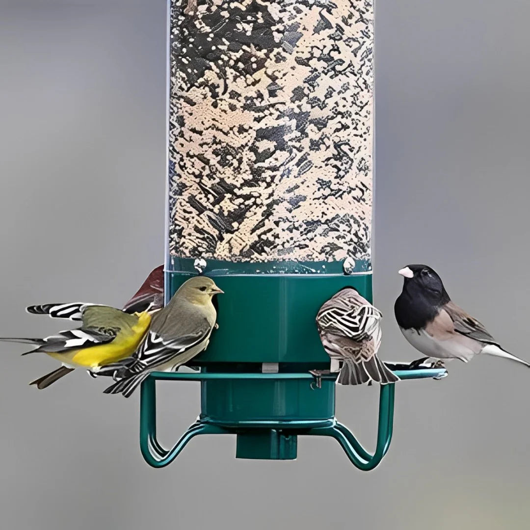 Distributeur de nourriture pour oiseaux Aviron avec protection anti-écureuils | Mécanisme à rotation | 4 ouvertures pour nourriture | Capacité de 2,27 kg