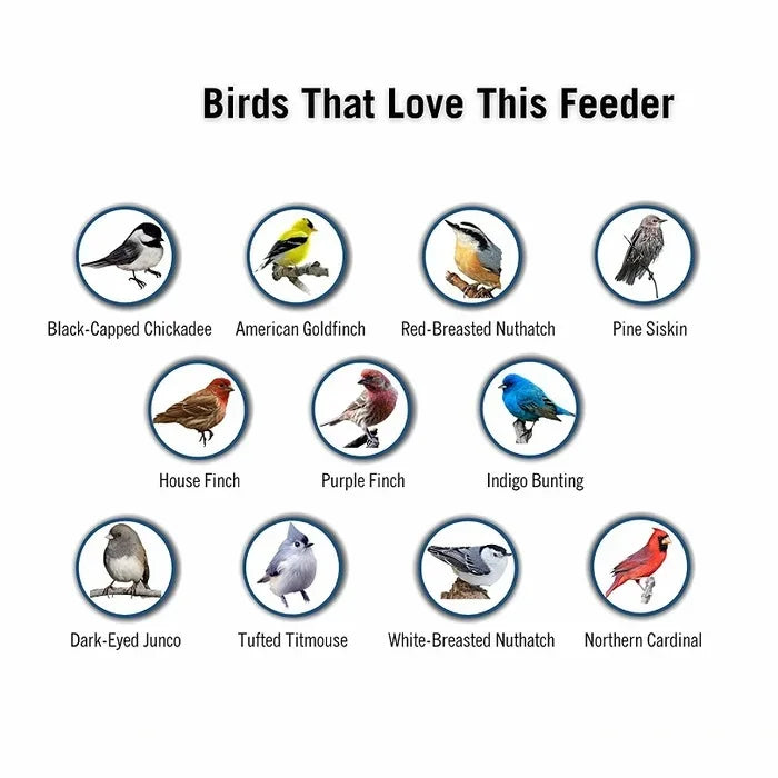 Distributeur de nourriture pour oiseaux Aviron avec protection anti-écureuils | Mécanisme à rotation | 4 ouvertures pour nourriture | Capacité de 2,27 kg