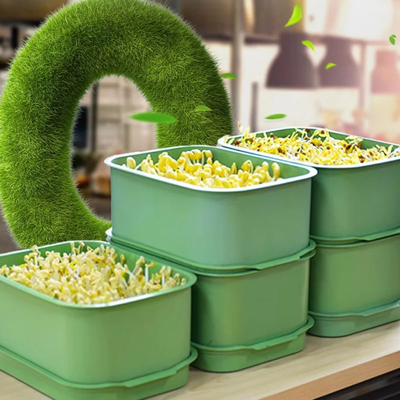 1+1 GRATUIT | GreenBox – Faites pousser vos propres germes frais chaque jour