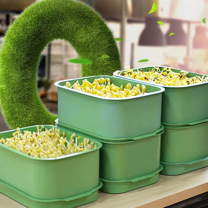 1+1 GRATUIT | GreenBox – Faites pousser vos propres germes frais chaque jour