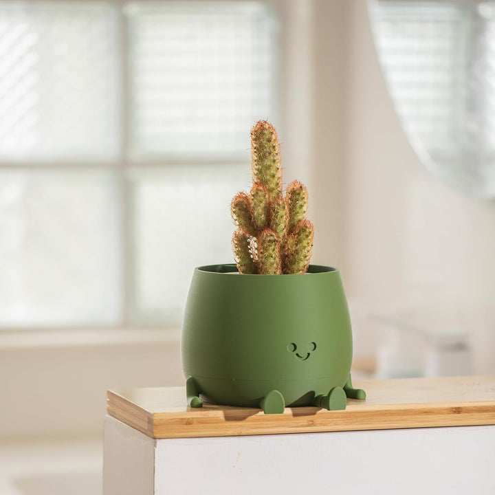 BloomBuddy – Plantes heureuses, maison joyeuse