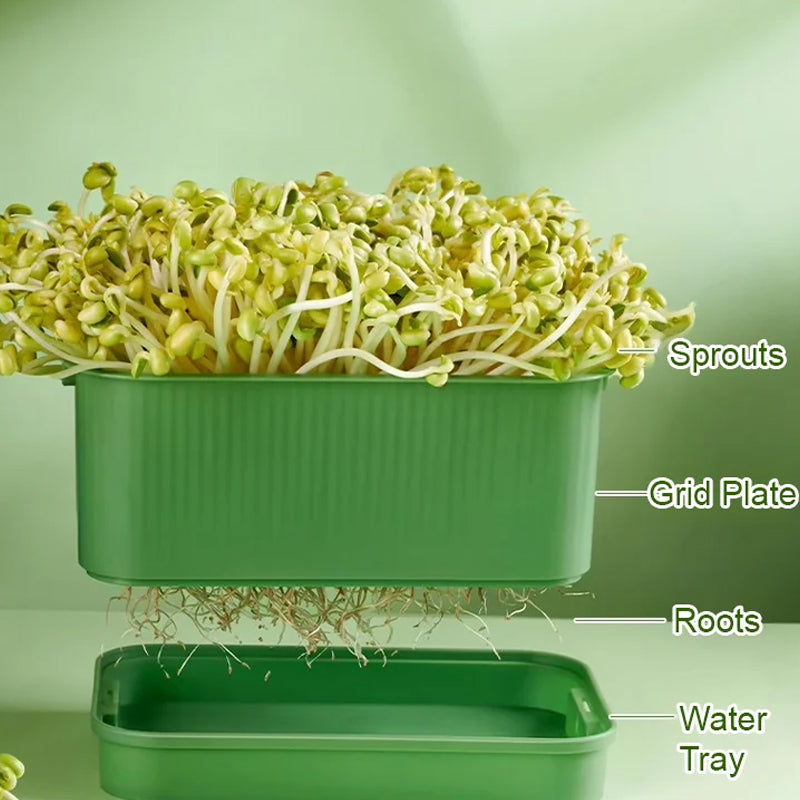 1+1 GRATUIT | GreenBox – Faites pousser vos propres germes frais chaque jour
