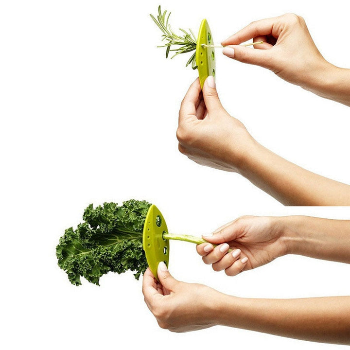 EasyLeaf – Épépinez les herbes et légumes en quelques secondes !
