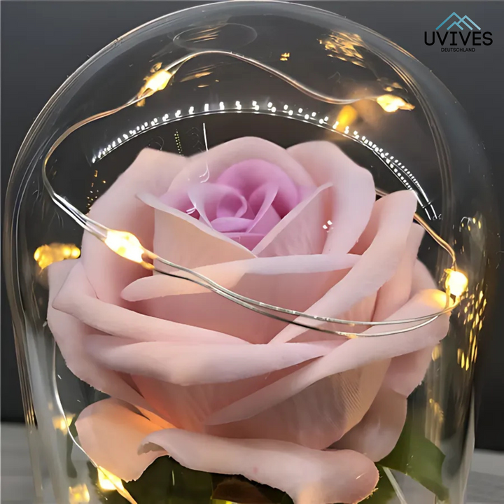 LumiRose Éternelle – Un amour qui dure pour toujours !