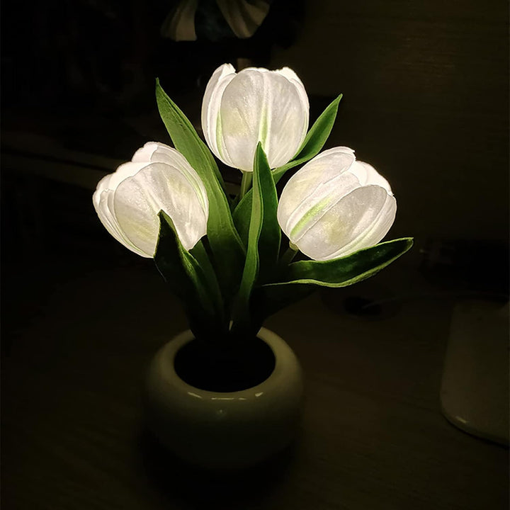 BloomTulip – Une fusion de romantisme et de lumière !