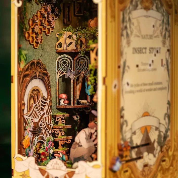 Coin Lecture - Histoire des Insectes