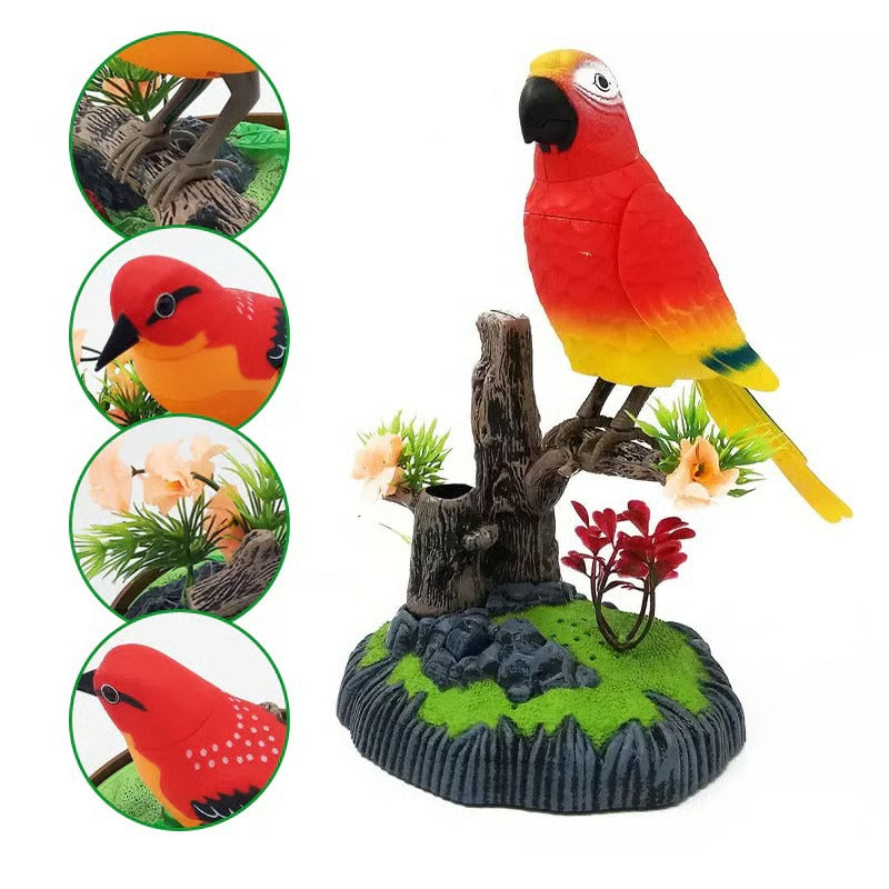 SongBird – Votre magie d'oiseaux à la maison !