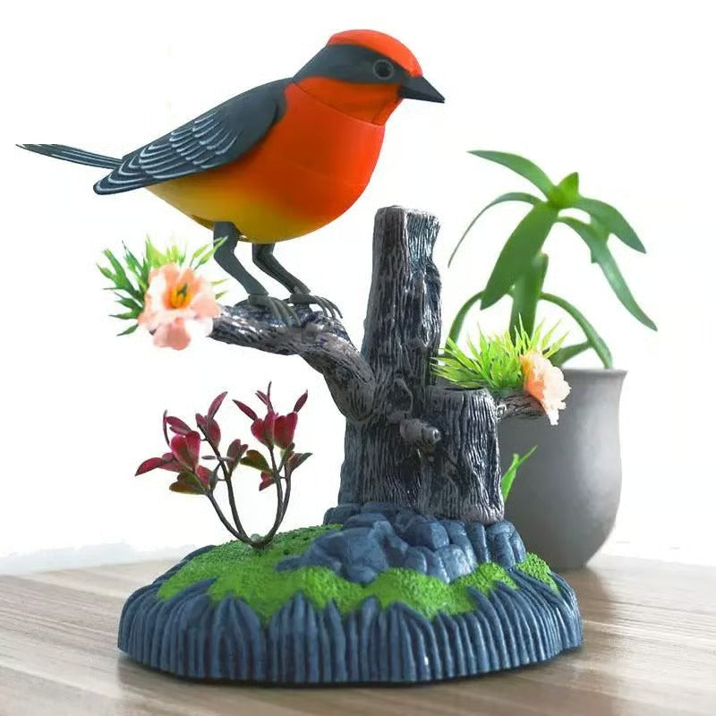 SongBird – Votre magie d'oiseaux à la maison !