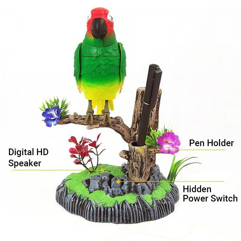 SongBird – Votre magie d'oiseaux à la maison !