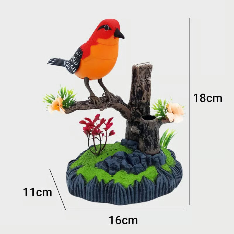SongBird – Votre magie d'oiseaux à la maison !