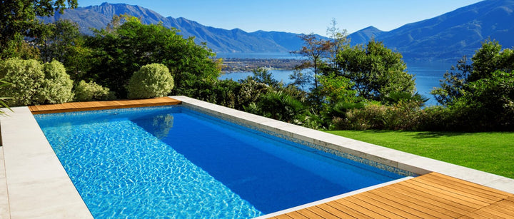 2+1 GRATUIT | DebrisGuard – Une piscine plus propre avec moins d'efforts !