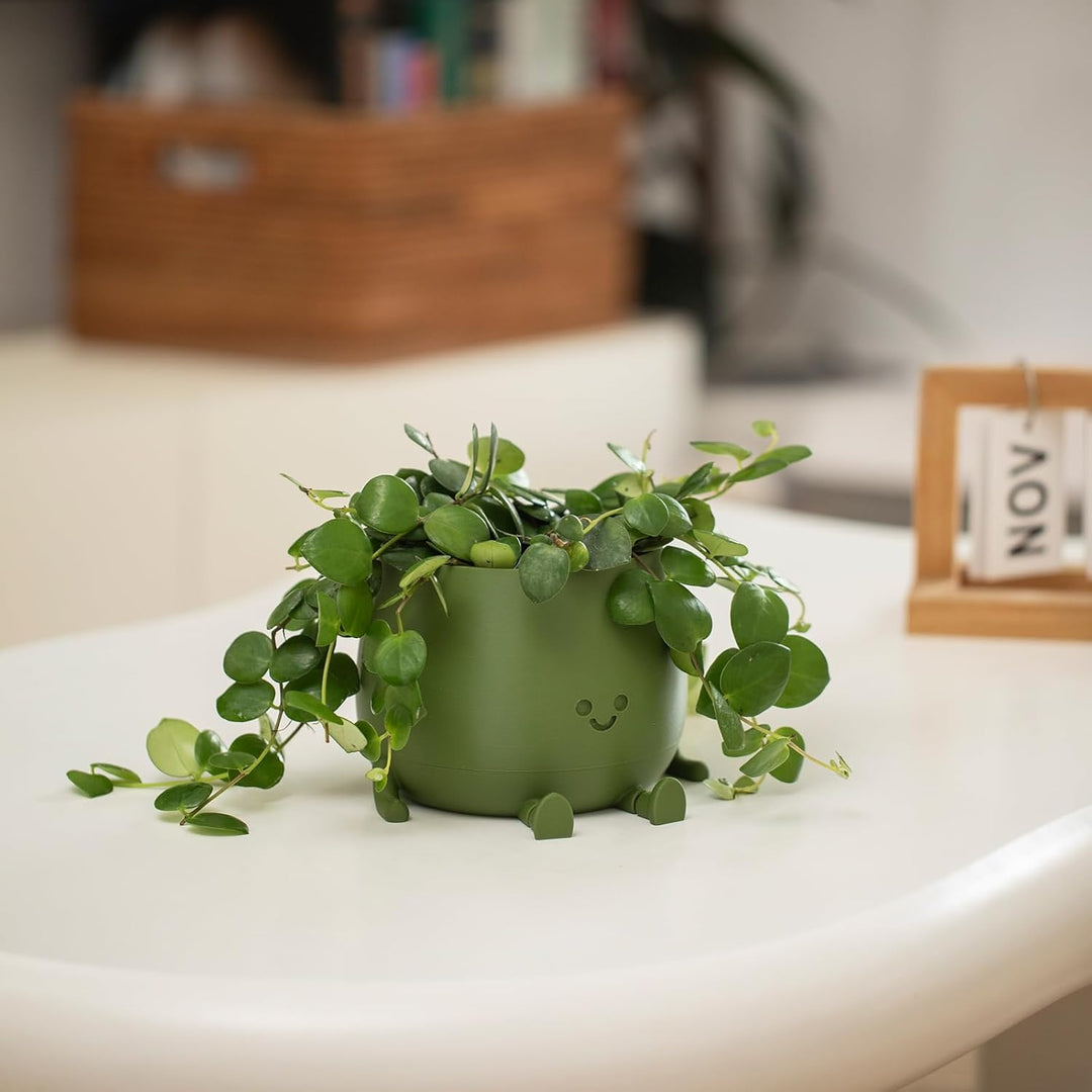 BloomBuddy – Plantes heureuses, maison joyeuse