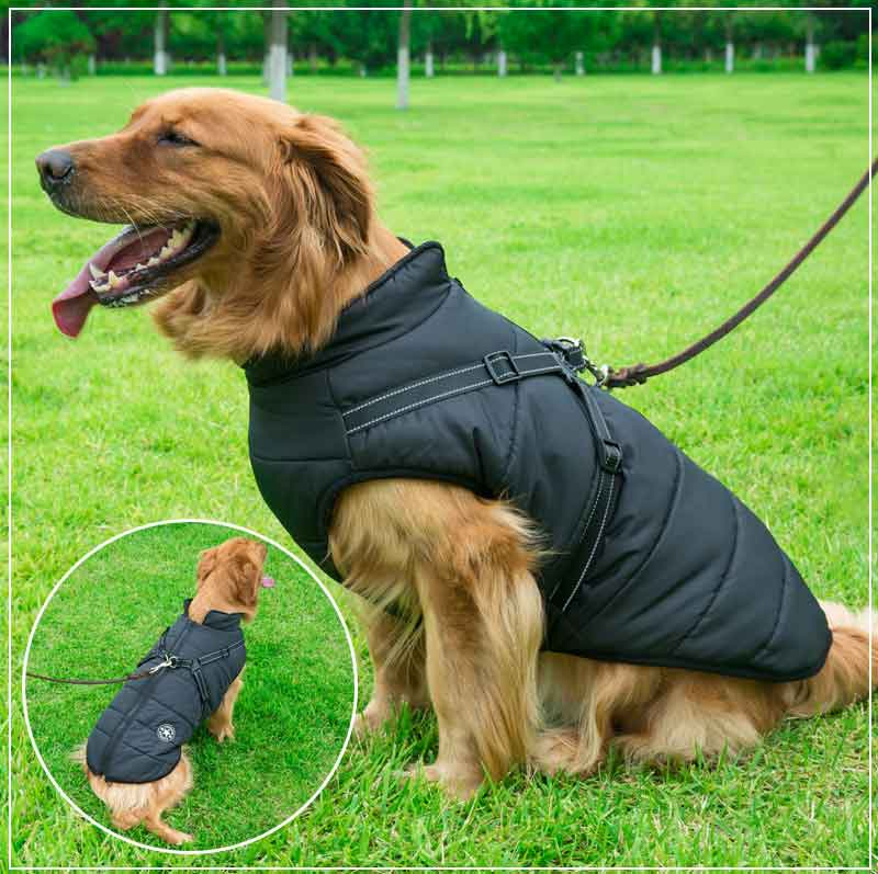 PupGuard - Veste d'hiver pour chien avec harnais