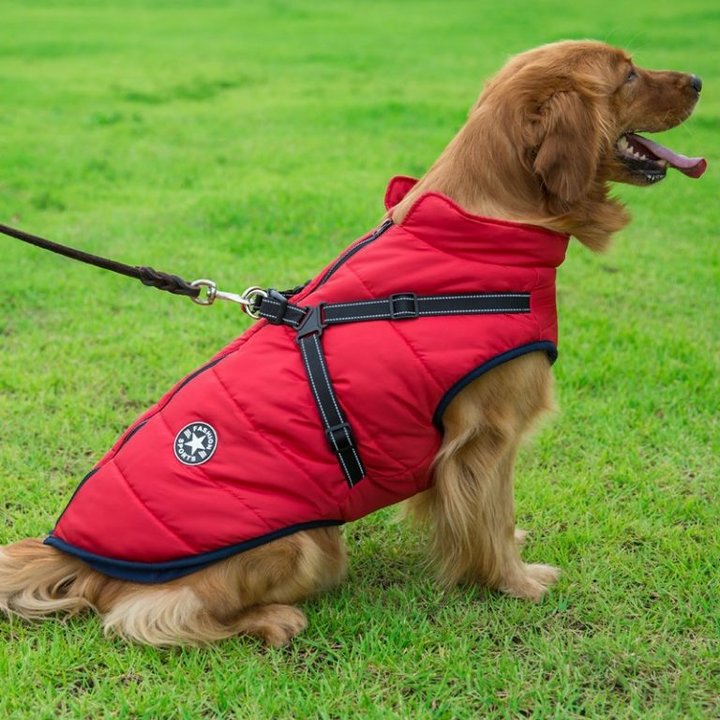PupGuard - Veste d'hiver pour chien avec harnais
