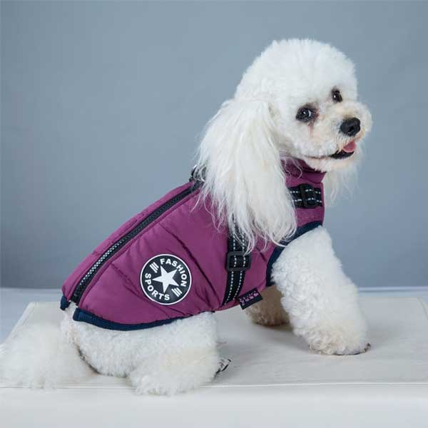 PupGuard - Veste d'hiver pour chien avec harnais
