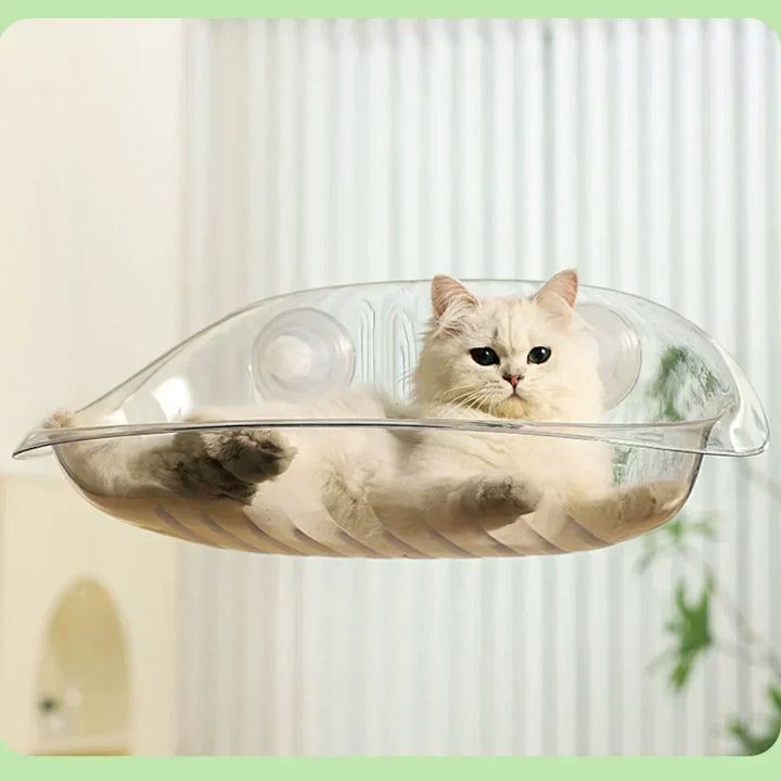 PurrLounge - La zone de confort ultime pour votre chat