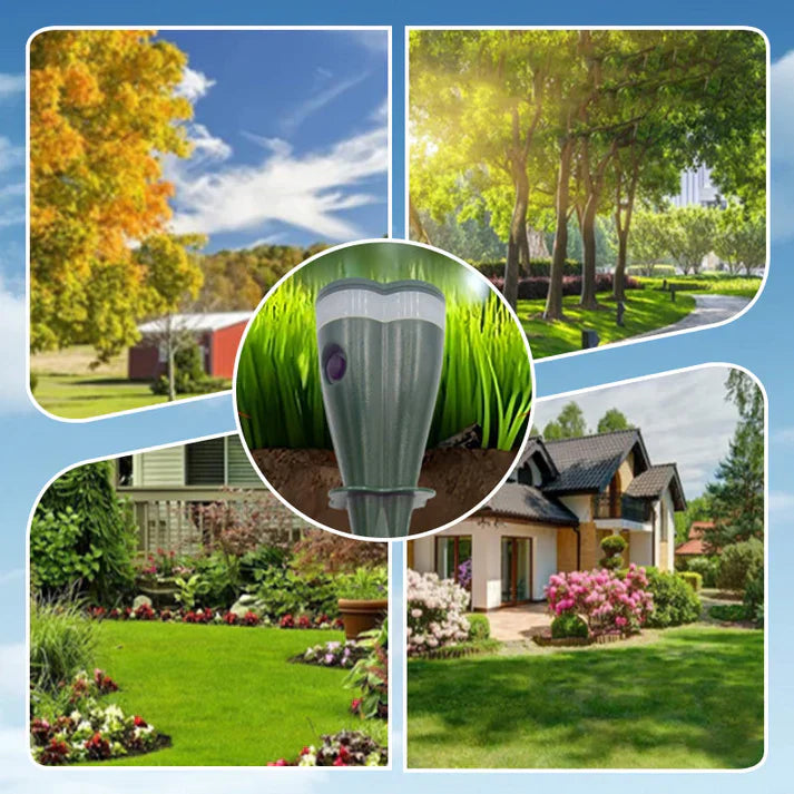 1+1 GRATUIT | VibraGreen – Calme pour votre jardin