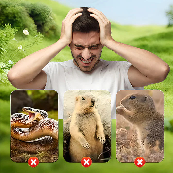 1+1 GRATUIT | VibraGreen – Calme pour votre jardin