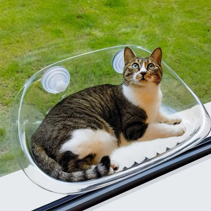 PurrLounge - La zone de confort ultime pour votre chat