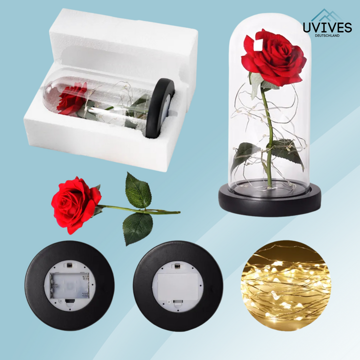 LumiRose Éternelle – Un amour qui dure pour toujours !