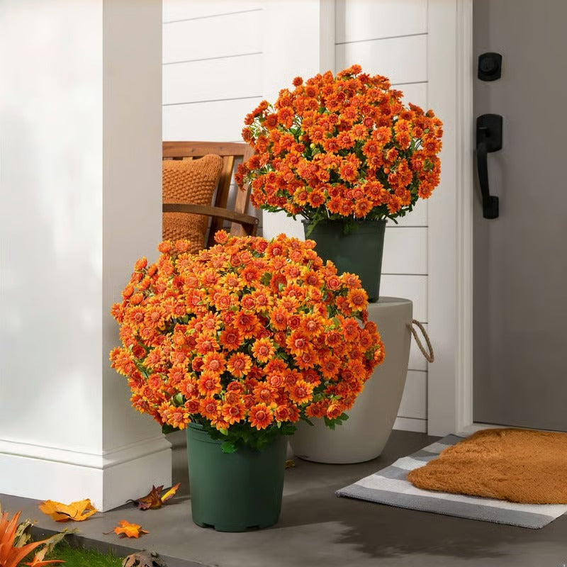 AutumnBloom – Beauté automnale durable sans entretien !