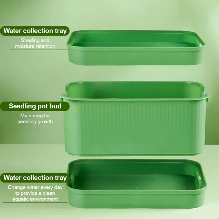 1+1 GRATUIT | GreenBox – Faites pousser vos propres germes frais chaque jour