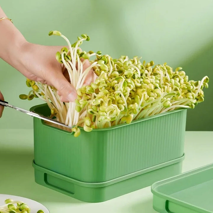 1+1 GRATUIT | GreenBox – Faites pousser vos propres germes frais chaque jour