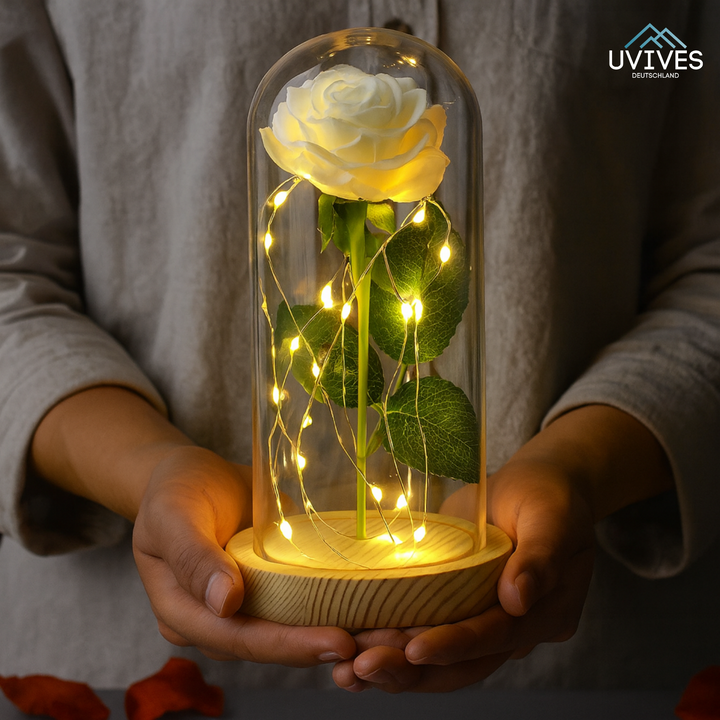 LumiRose Éternelle – Un amour qui dure pour toujours !