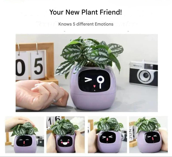 PflanzenFreund SmartPot | Pot de fleurs intelligent avec arrosage automatique | Contrôle par application & retour d'information par emoji