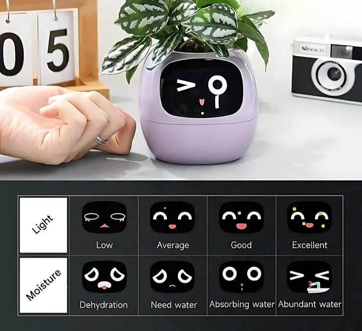 PflanzenFreund SmartPot | Pot de fleurs intelligent avec arrosage automatique | Contrôle par application & retour d'information par emoji