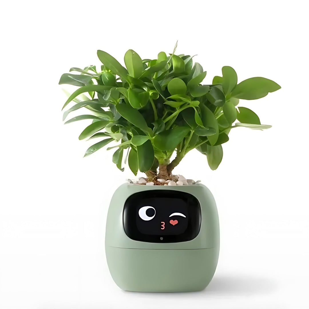 PflanzenFreund SmartPot | Pot de fleurs intelligent avec arrosage automatique | Contrôle par application & retour d'information par emoji