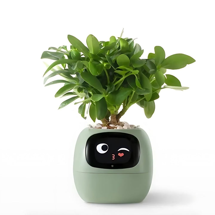 PflanzenFreund SmartPot | Pot de fleurs intelligent avec arrosage automatique | Contrôle par application & retour d'information par emoji