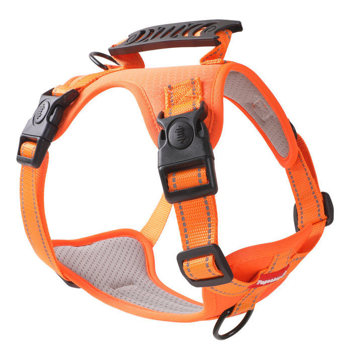 TailMate - Le harnais confortable pour chien