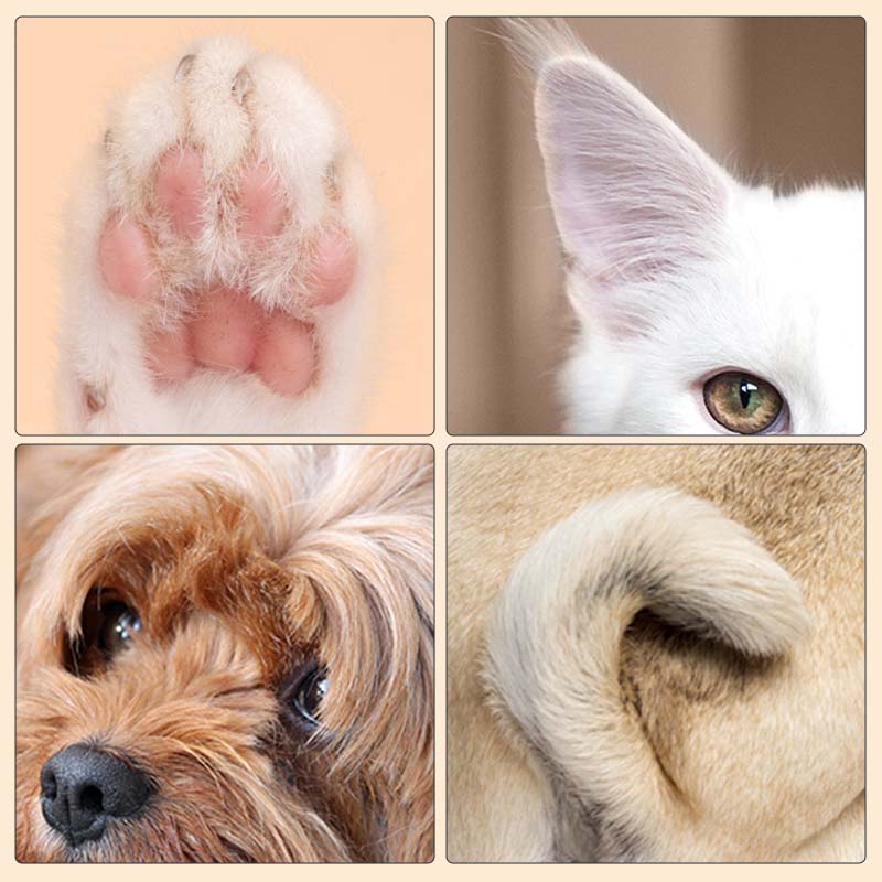 1+1 GRATUIT | PawPerfect - Tondeuse à poils LED pour animaux Pro
