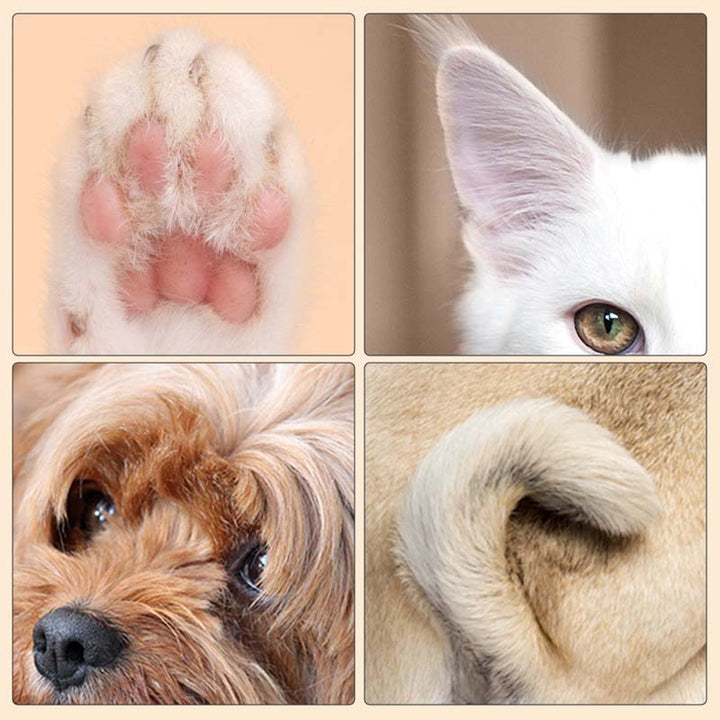 1+1 GRATUIT | PawPerfect - Tondeuse à poils LED pour animaux Pro