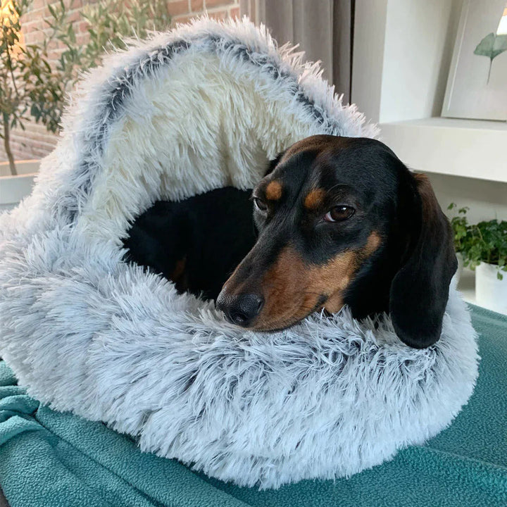 FurHaven - Mon chien adore
