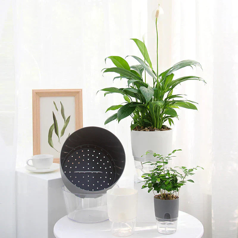 Floriva Pot de Fleurs Auto-Arrosant | Jusqu'à 20 jours sans arrosage | Design moderne avec réservoir d'eau | 3 tailles