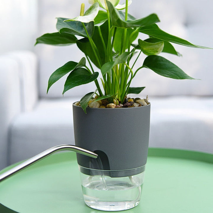 Floriva Pot de Fleurs Auto-Arrosant | Jusqu'à 20 jours sans arrosage | Design moderne avec réservoir d'eau | 3 tailles