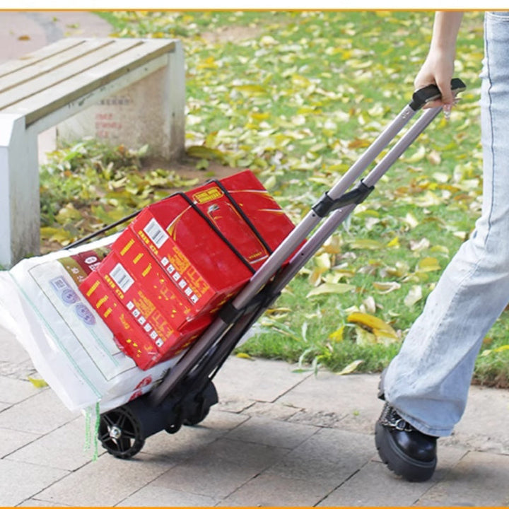 CarryMax Fold – Robuste à transporter, compacte à ranger