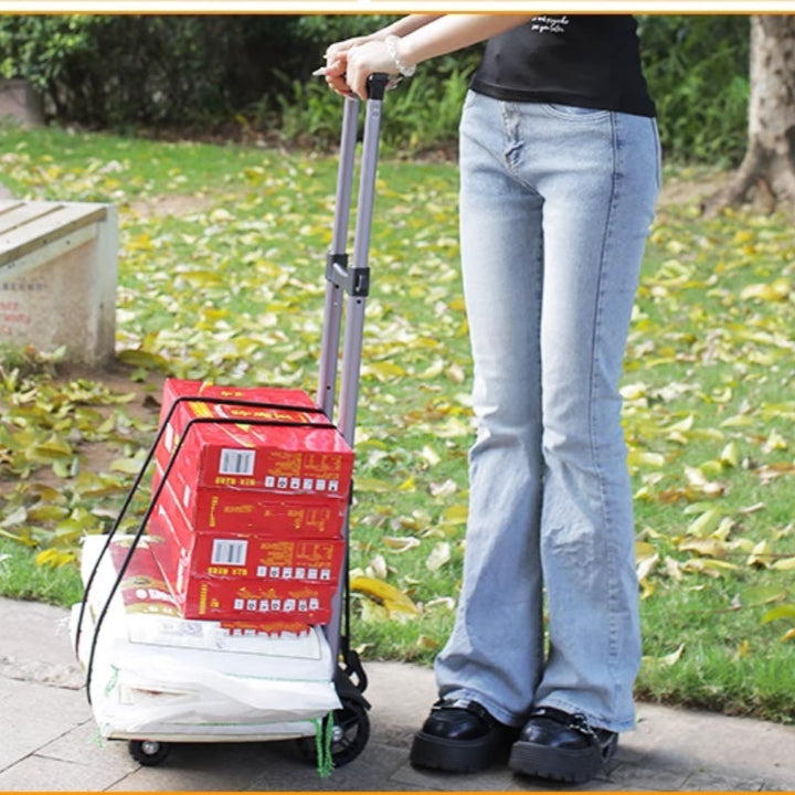 CarryMax Fold – Robuste à transporter, compacte à ranger
