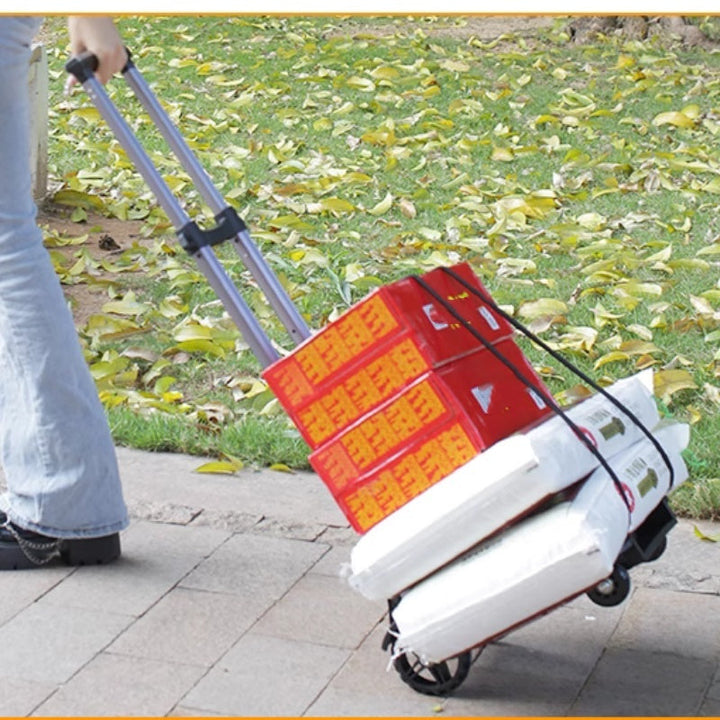 CarryMax Fold – Robuste à transporter, compacte à ranger