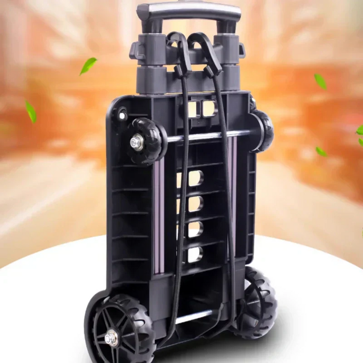 CarryMax Fold – Robuste à transporter, compacte à ranger